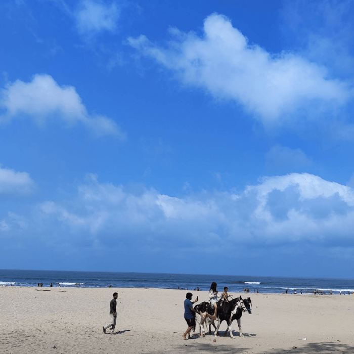 people with horse near kashid beach-min